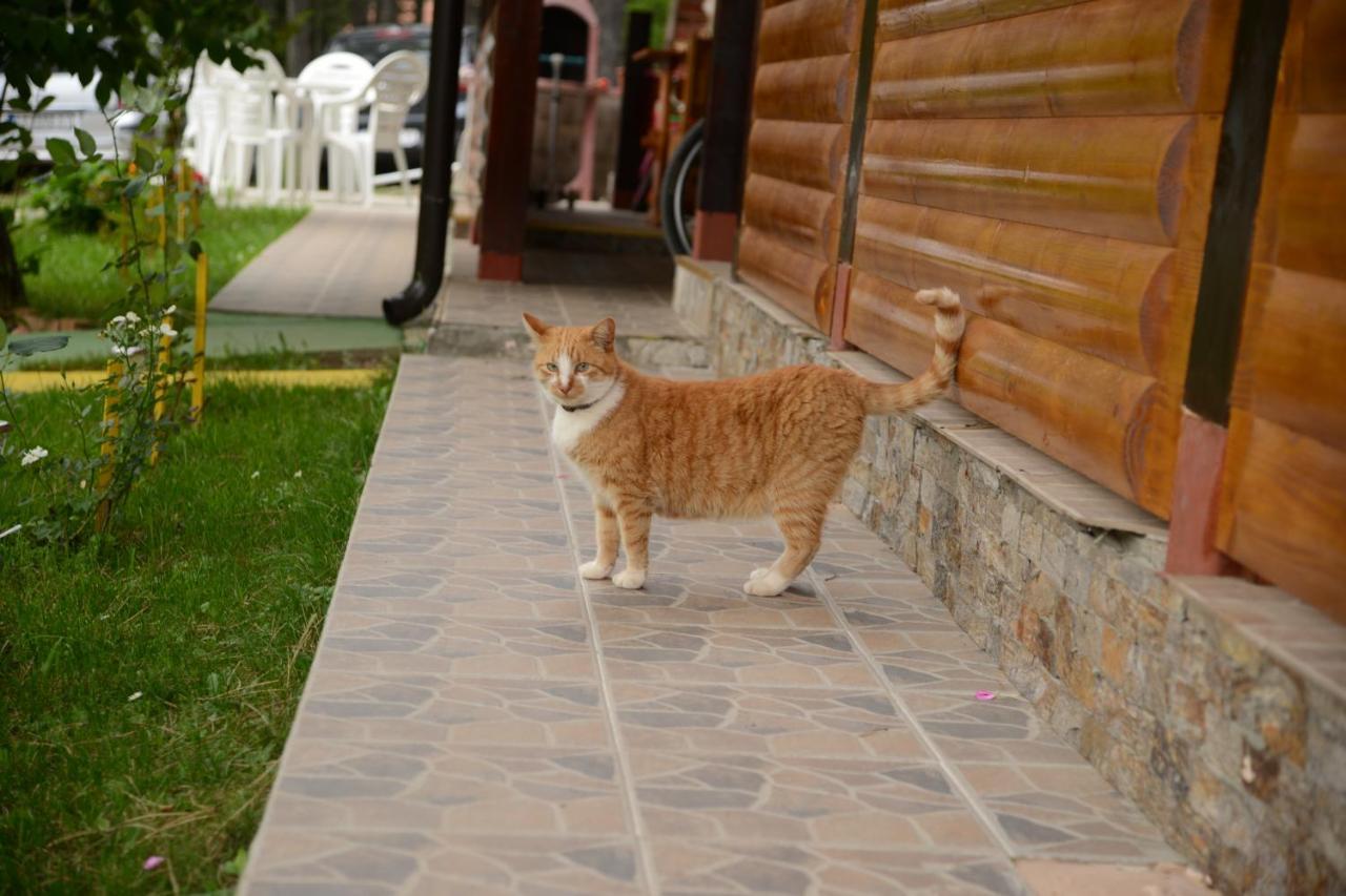 Ruza Apartment