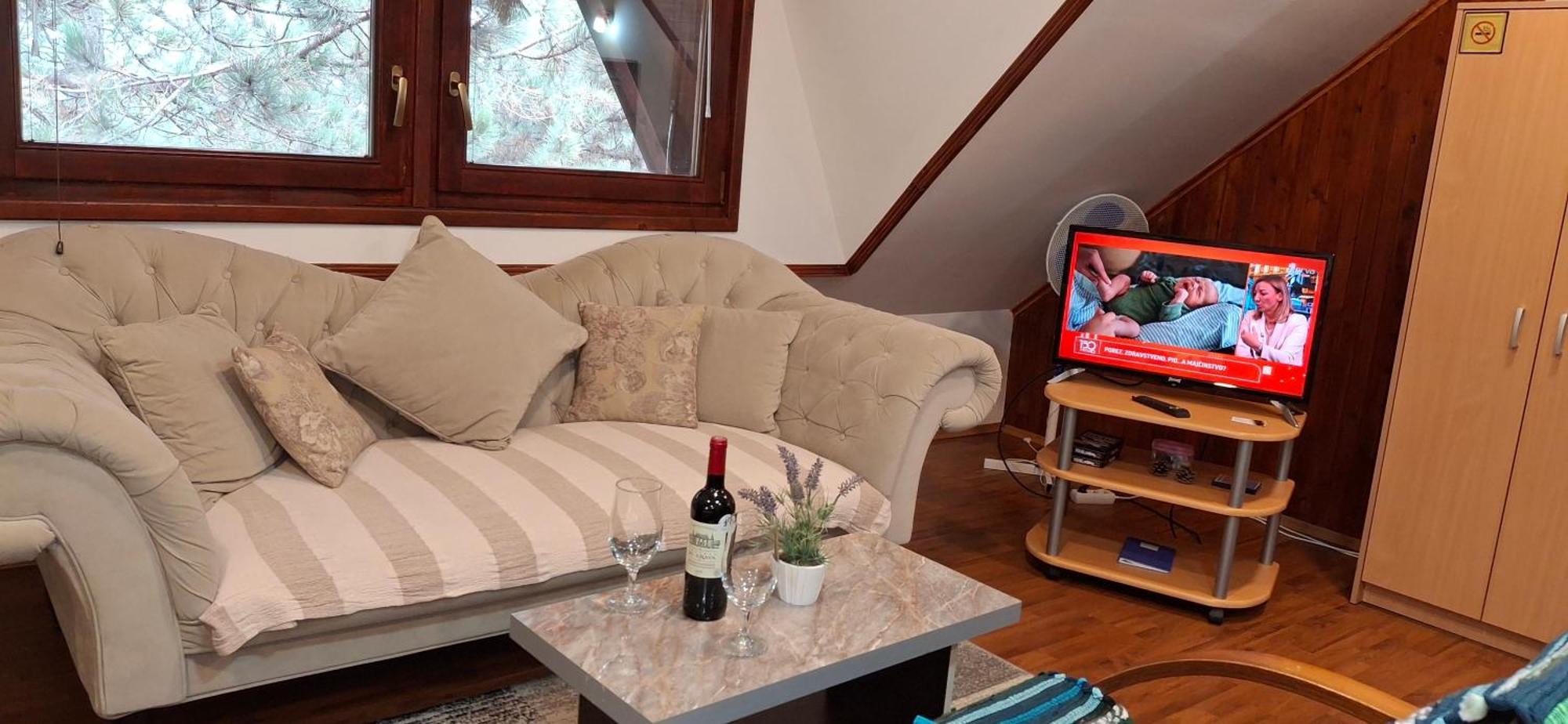 Apartment Ruza